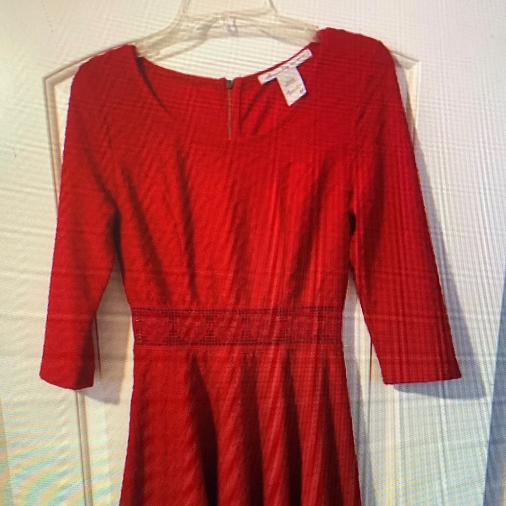 Zara Red Textured Mini Dress